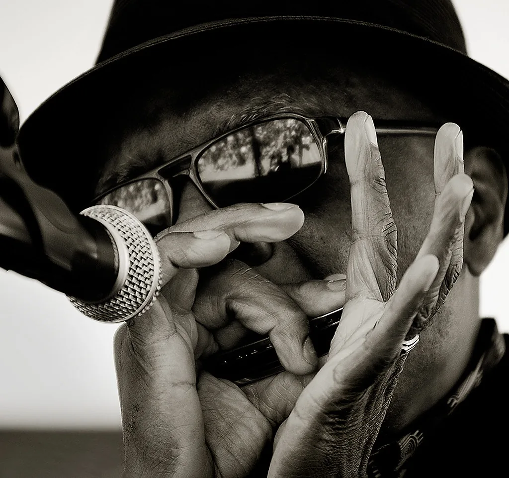Folk harmonica player in concert Folk harmonica player in concert