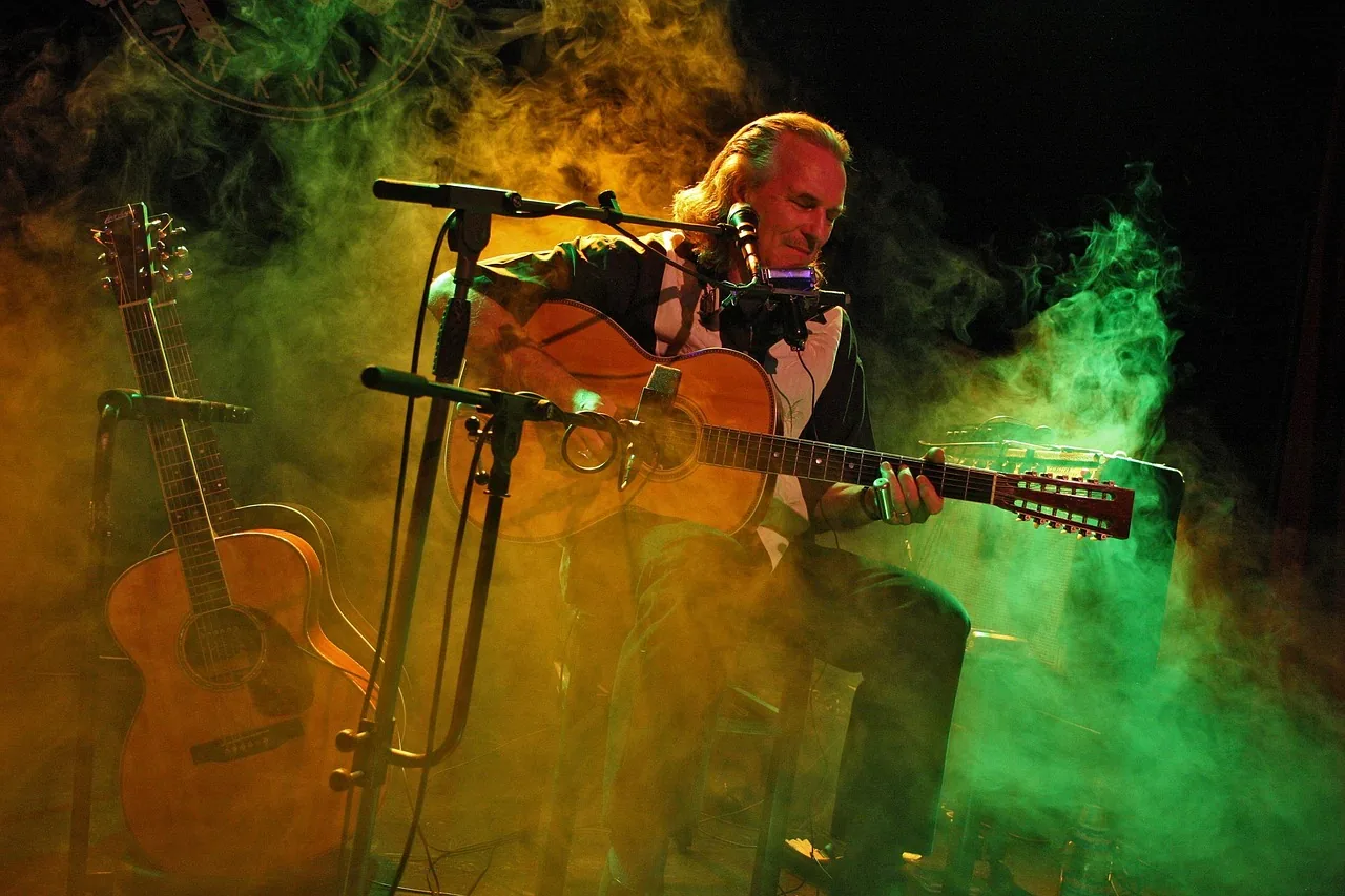Guitariste folk en concert Guitariste folk en concert
