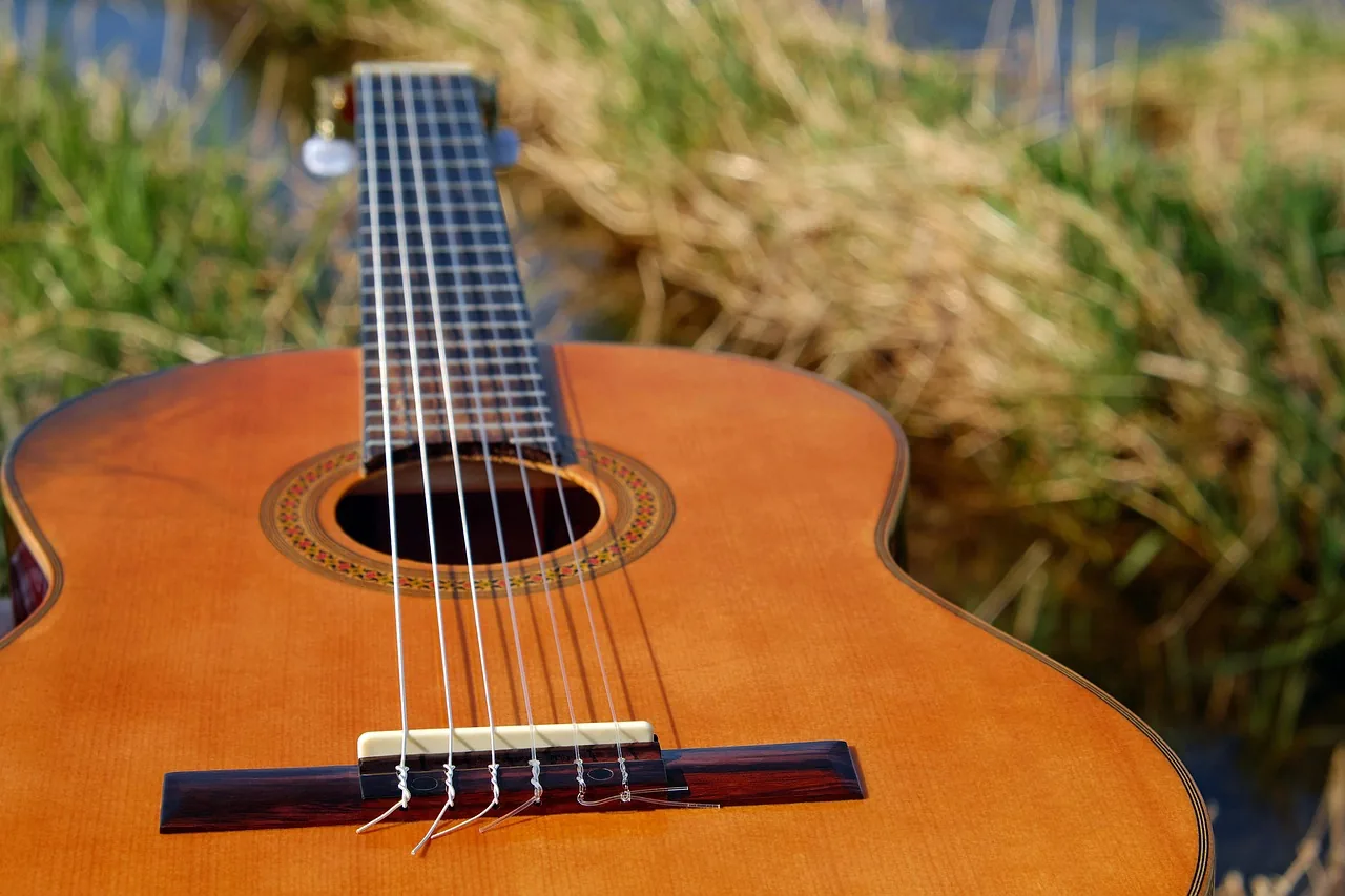 Acoustic guitar in nature Acoustic guitar in nature