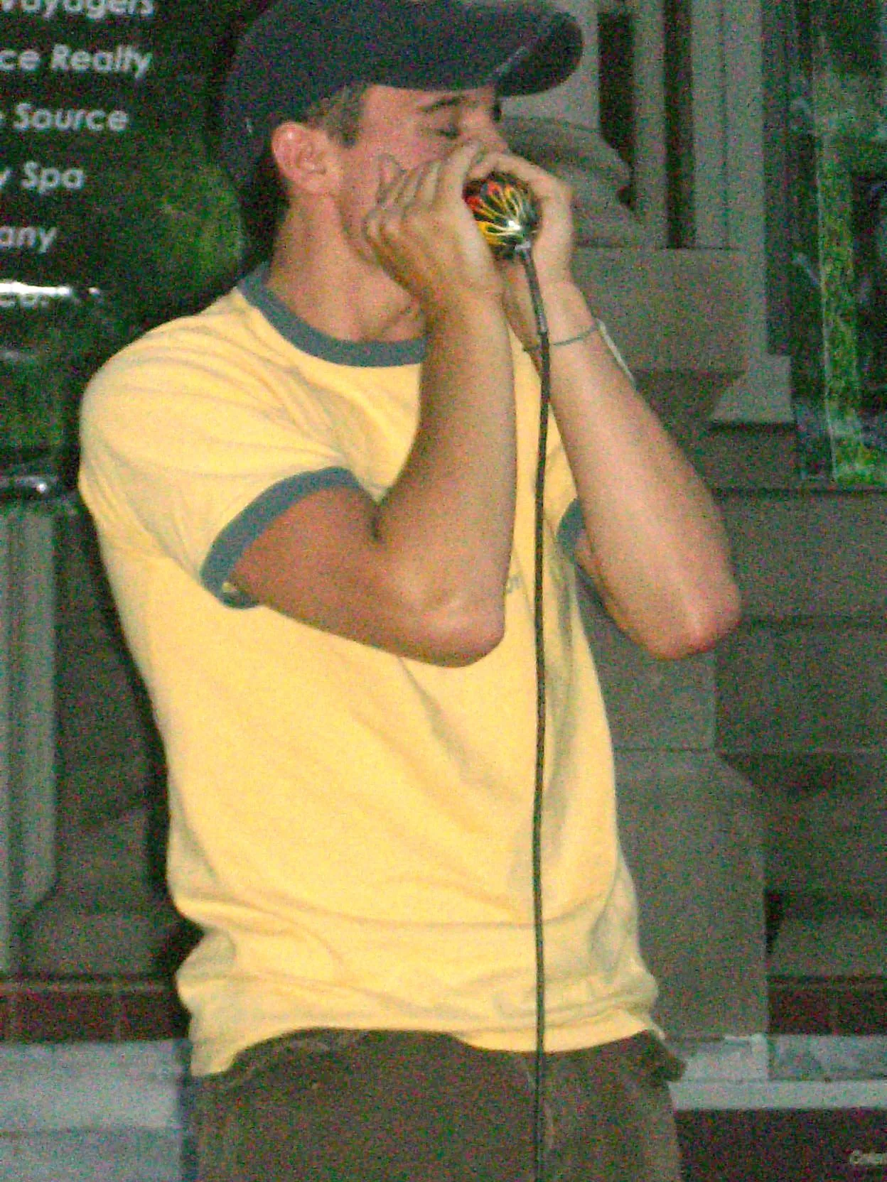 Musicien jouant de l’harmonica sur scène Musicien jouant de l’harmonica sur scène
