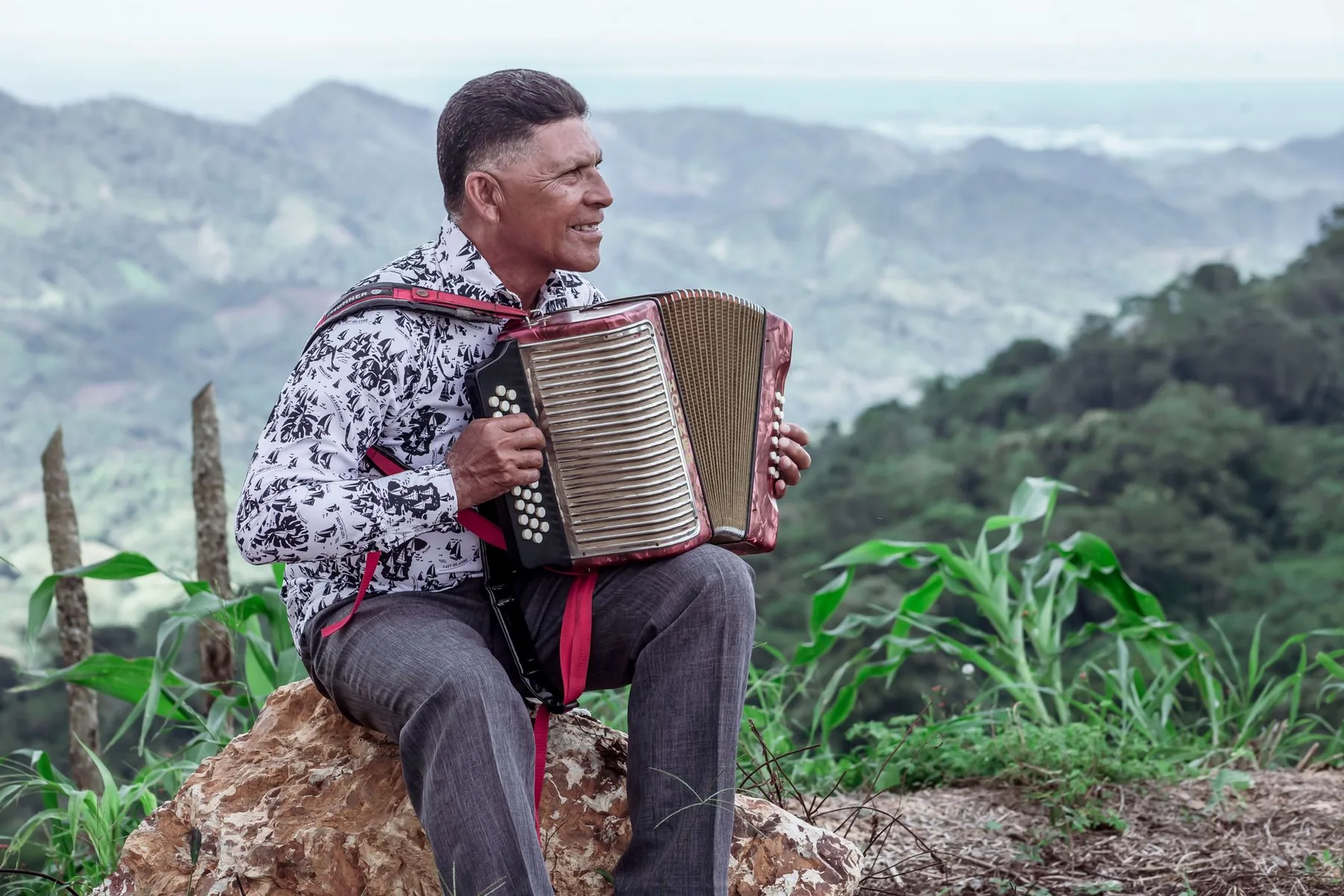 Musicien accordéoniste jouant en pleine nature